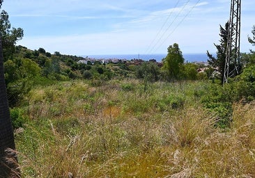 The plot of land transferred to the ministry of the interior for the new police station.