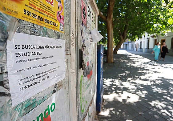 Tourists and students snap up rental properties, reducing the supply of long-term accommodation in Granada city centre