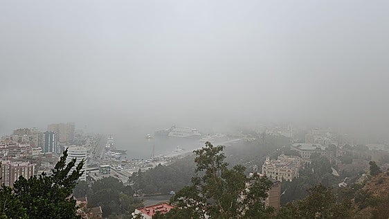 Thick taró fog causes delays at Malaga Airport