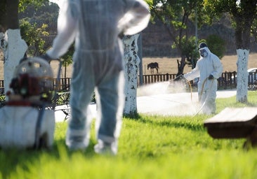 A worker spraying a park in Puebla del Río, Seville.