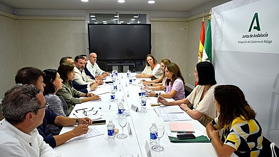 Malaga beaches faecal bacteria crisis leads to establishment of monitoring committee