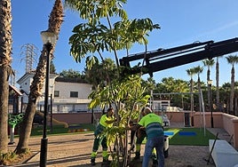Almuñécar town hall introduces more trees, pergolas and shelters to provide more shade