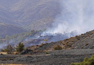 Picture of the fire in Benahavís last summer