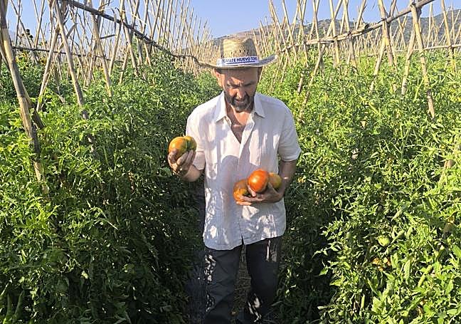 Sebastián Hevilla explains the characteristics of the tomatoes
