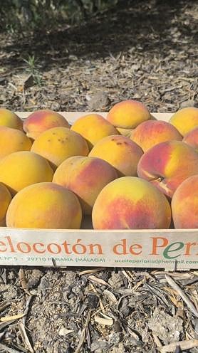 Imagen secundaria 2 - Periana peaches: the fruit that draws hundreds of people to the Alta Axarquía