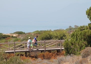 Ten beaches in Malaga where you can unwind in September