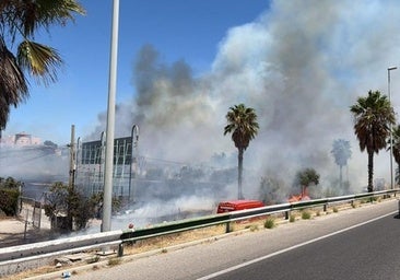 Plume of smoke caused by the fire in Estepona