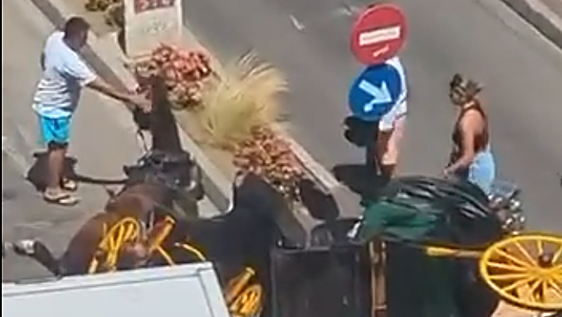 Two injured after runaway horse-drawn carriage crashes into lorry and motorbike in Fuengirola