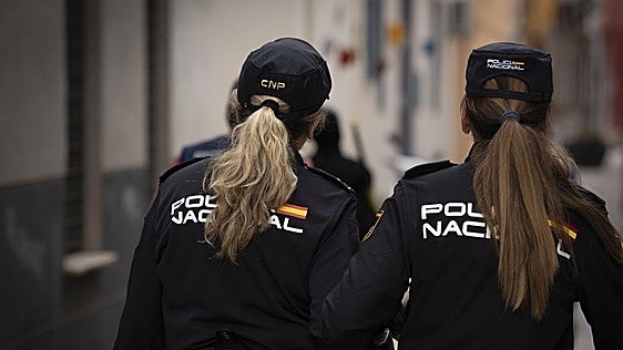 Malaga-based drug-trafficking and money-laundering network dismantled