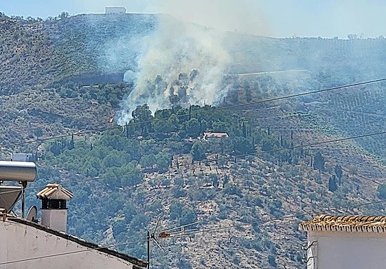 Wildfire in Axarquía village extinguished