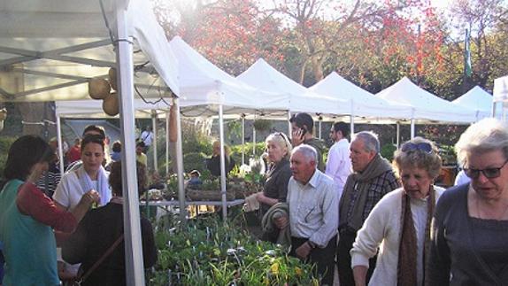 The plant show attracts serious collectors and amateurs