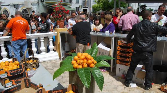 Día del Níspero in Sayalonga.