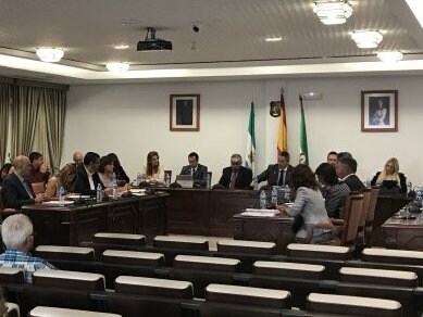 PP members raised concerns at the regular council session in Mijas last week.