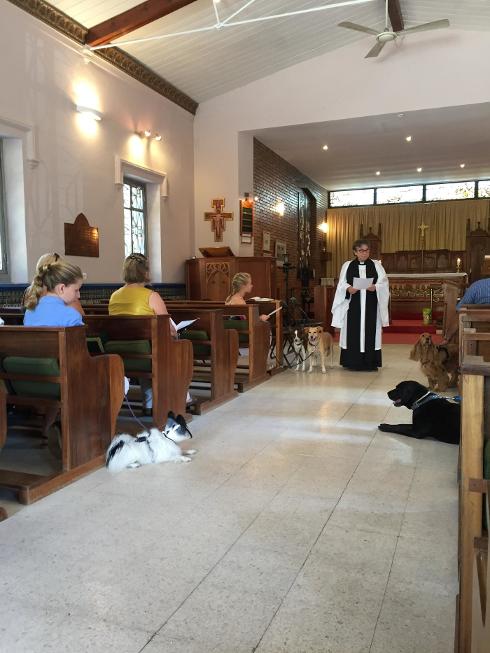 Dogs of all shapes and sizes went to be blessed at the special service for pets. :: M. B.