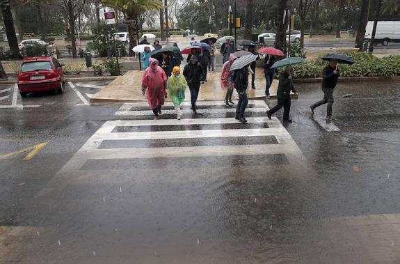 Downpours on Malaga's Paseo del Parque.