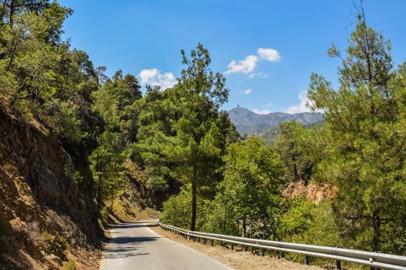 The charming and  winding Troödos mountain road.
