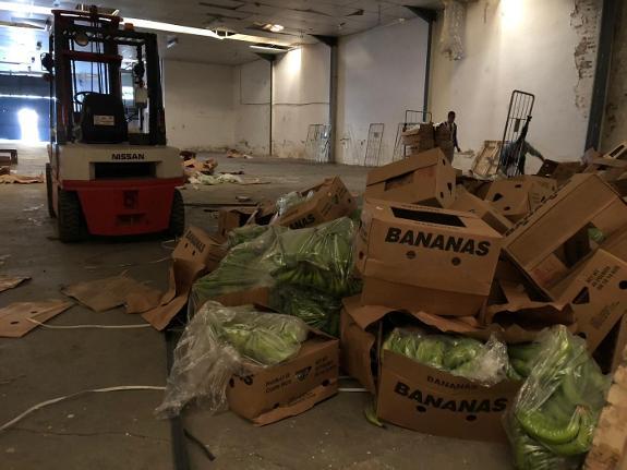 The boxes of bananas among which the drugs had been hidden. 