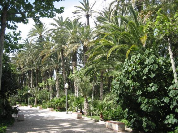 30 NOVEMBER 2000: Elche palm grove became a World Heritage Site