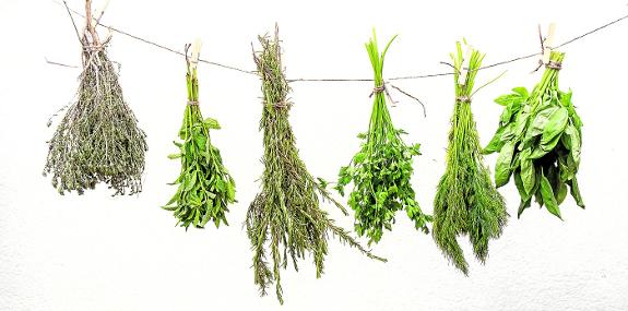 Aromatic herbs: green magic