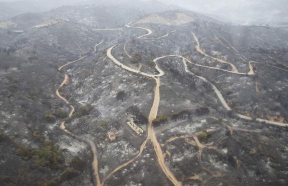 Flashback to fire damage near Ojén over seven years ago.