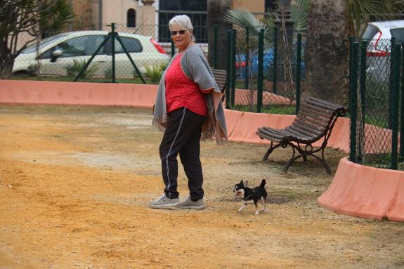 A dog and owner at the park.