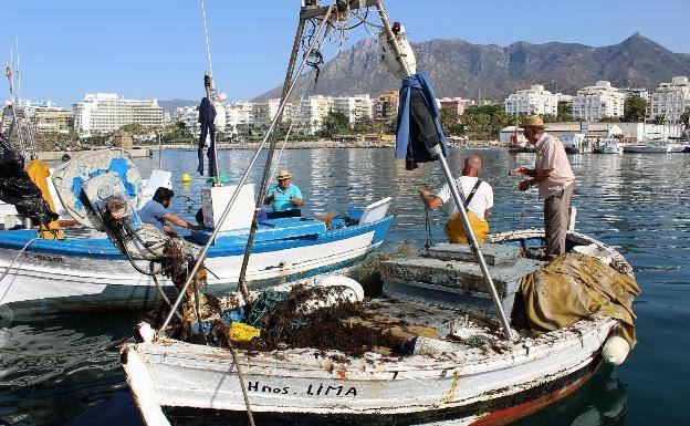 Fisherman at La Bajadilla marina