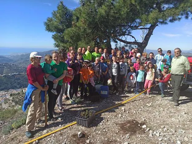 Trees planted to repopulate area affected by Cómpeta forest fire in 2014