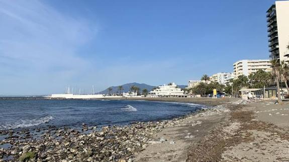 ProDunas association in Marbella raises the alarm over potentially invasive algae