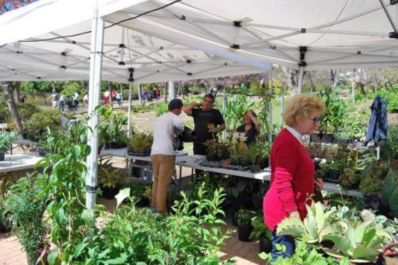 The 2019 edition attracted thousands of horticulturalists.  