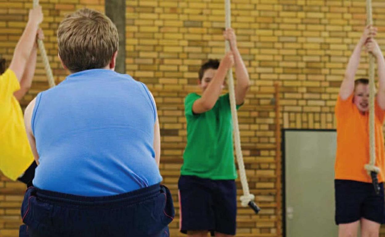 Escolares en gimnasia.