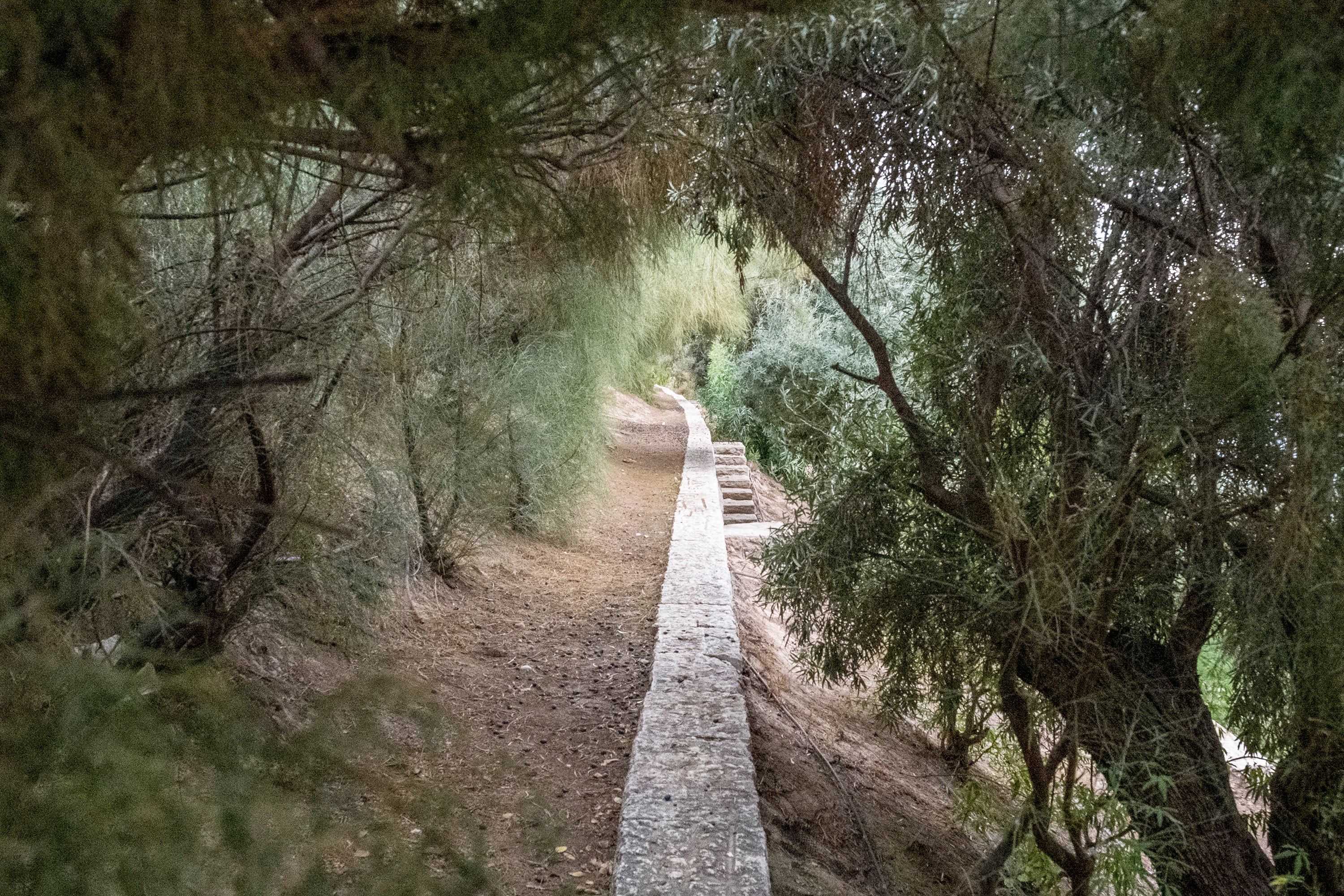 Fotos: El Parque de la Ereta: entre el castillo y el mar