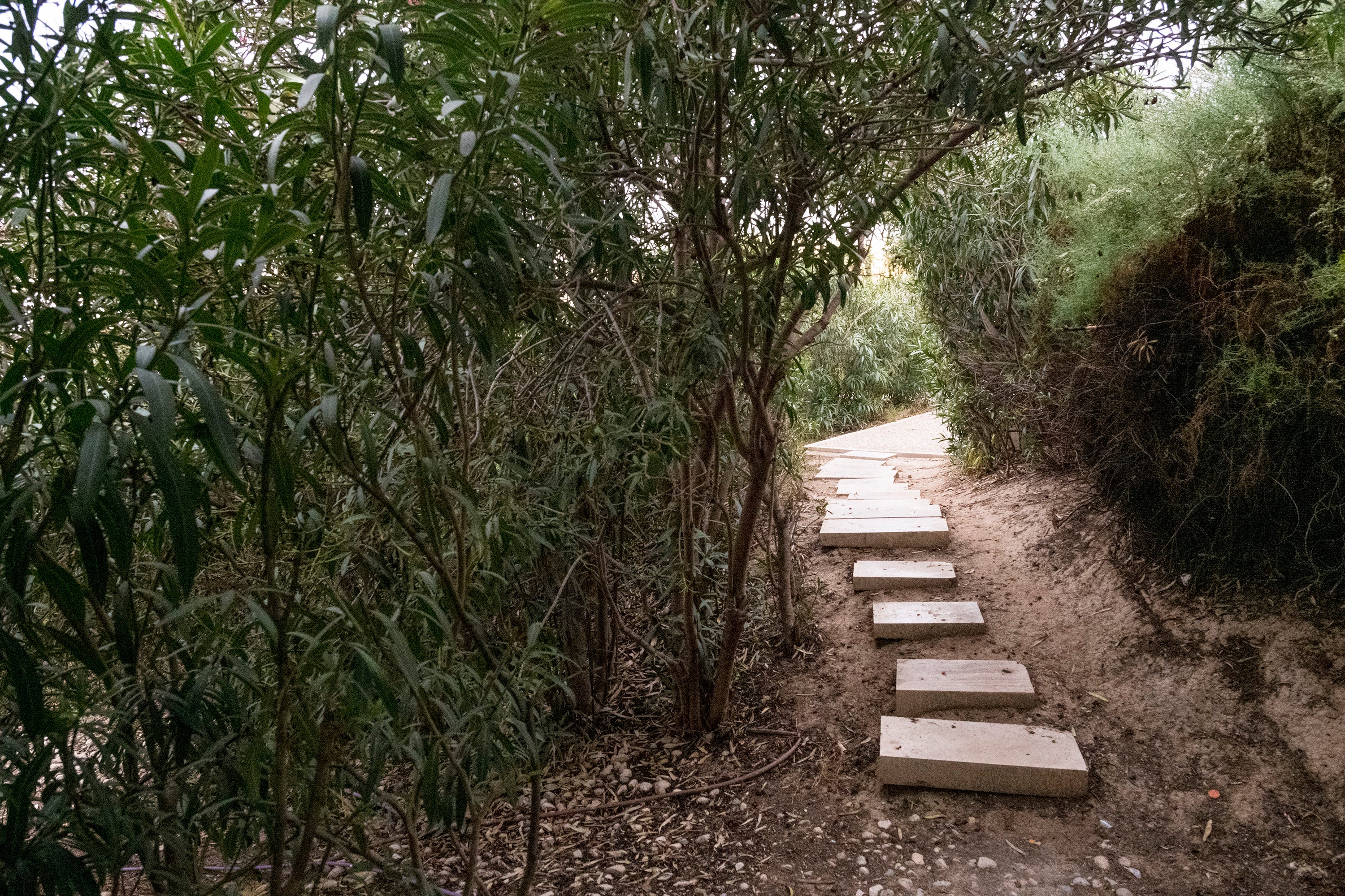 Fotos: El Parque de la Ereta: entre el castillo y el mar
