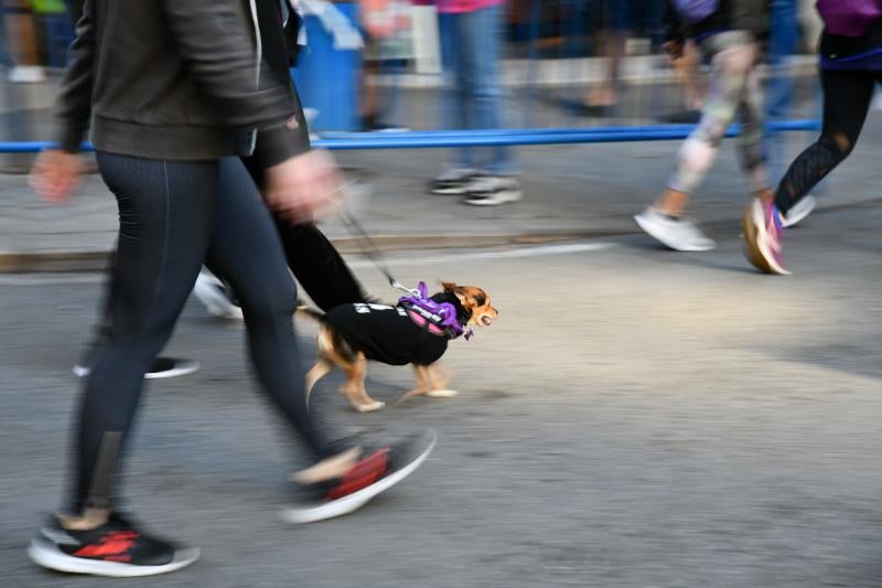 Fotos: ¿Has participado en la carrera contra el cáncer de páncreas?