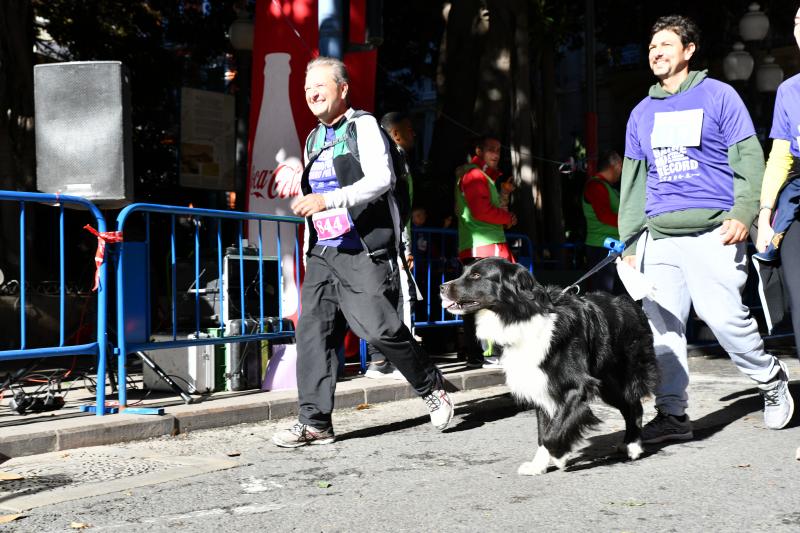 Fotos: ¿Has participado en la carrera contra el cáncer de páncreas?