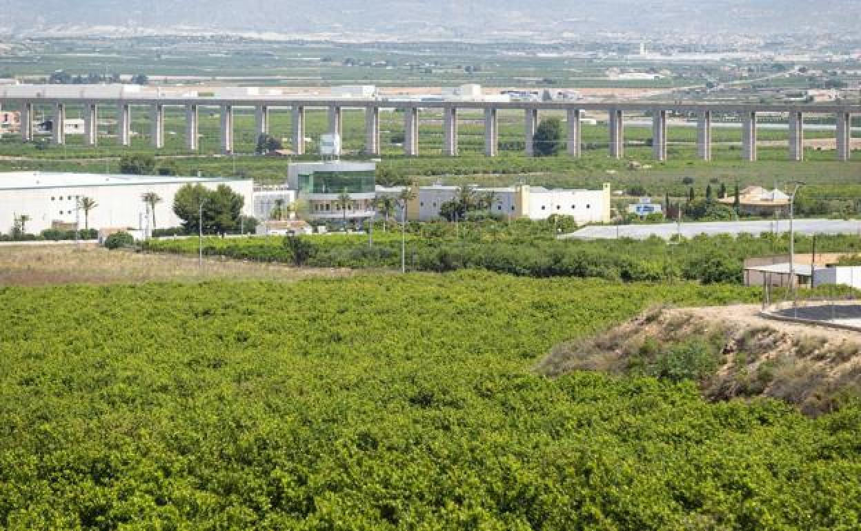 La tubería del Trasvase Tajo-Segura a su paso por los campos. 