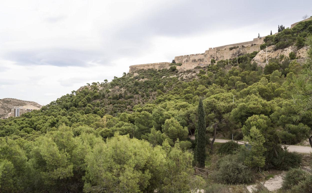 Las nubes altas reposan sobre la ladera del Benacantil.