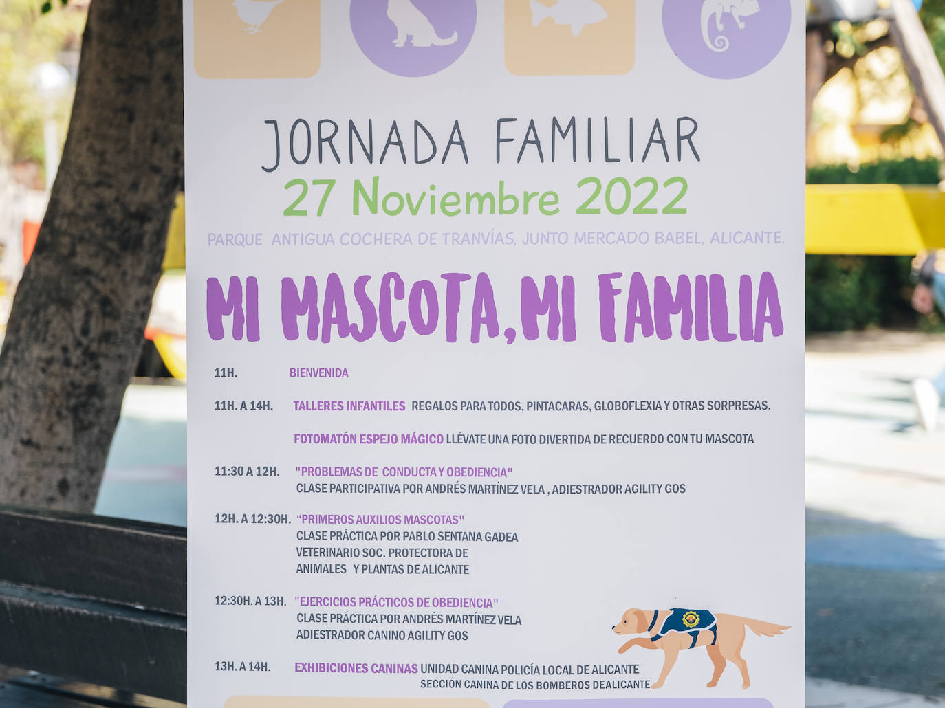 Fotos: Exhibiciones de unidades caninas y mucho amor en el evento &#039;Mi mascota, mi familia&#039;