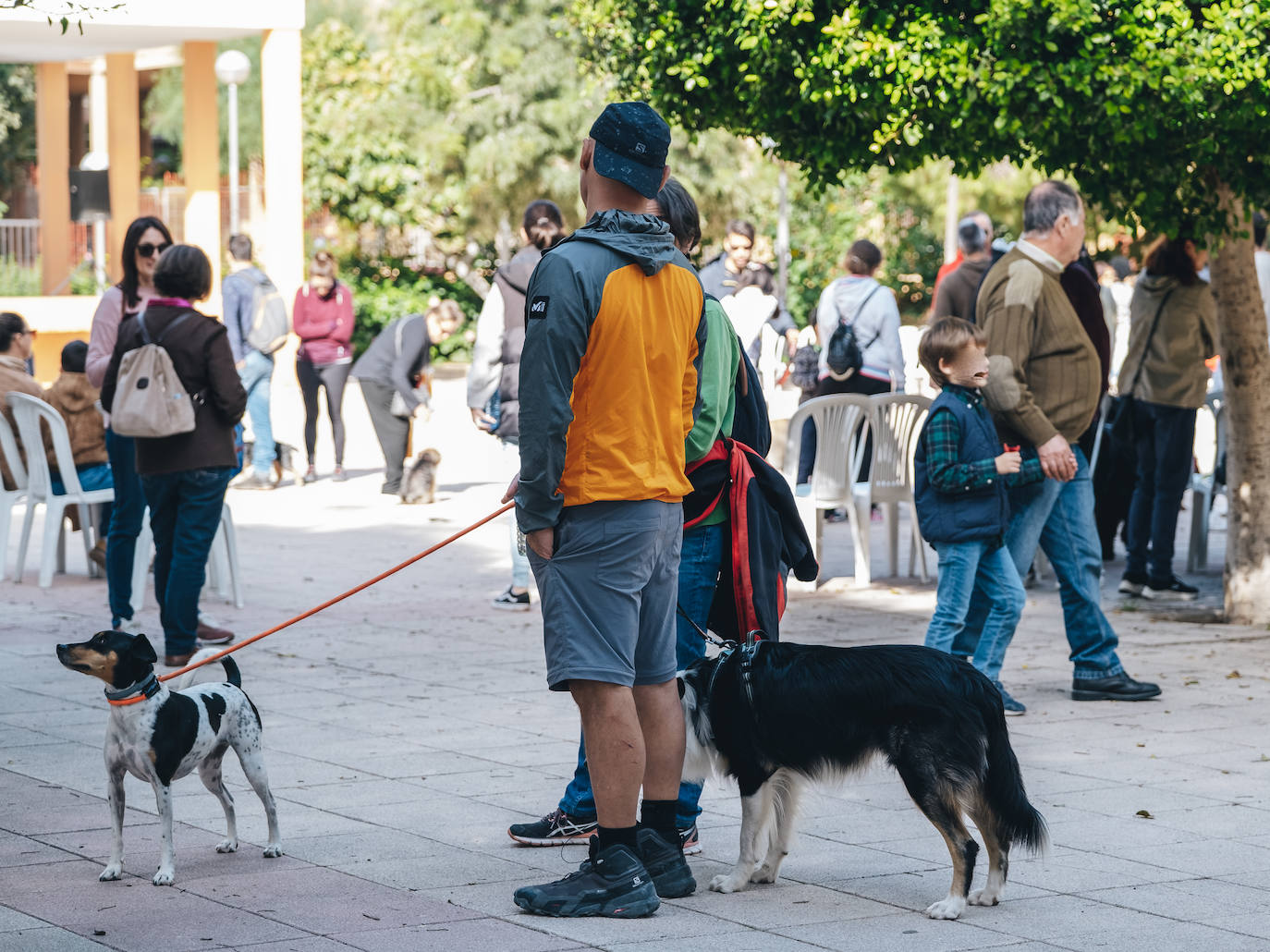 Fotos: Exhibiciones de unidades caninas y mucho amor en el evento &#039;Mi mascota, mi familia&#039;