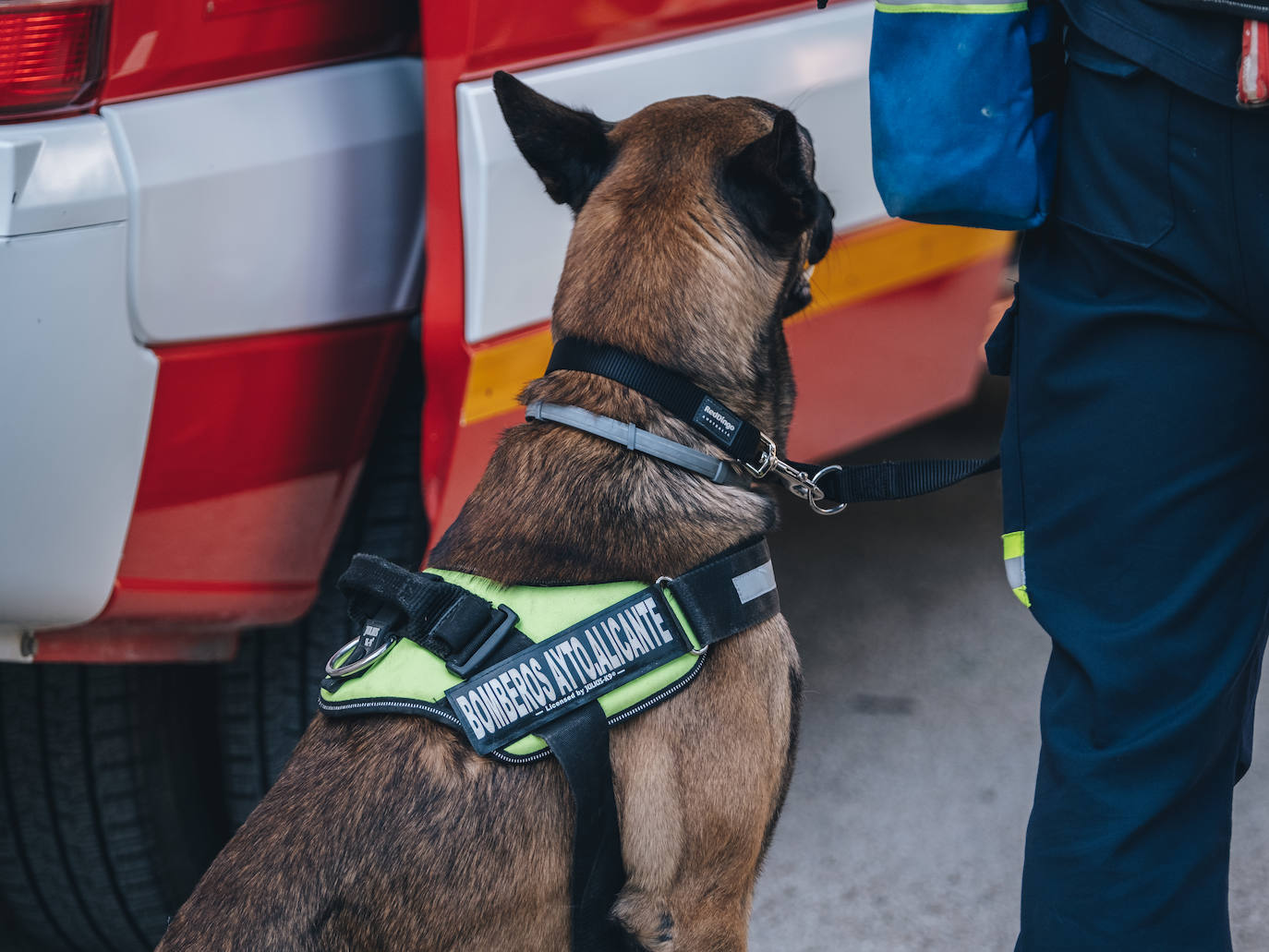 Fotos: Exhibiciones de unidades caninas y mucho amor en el evento &#039;Mi mascota, mi familia&#039;
