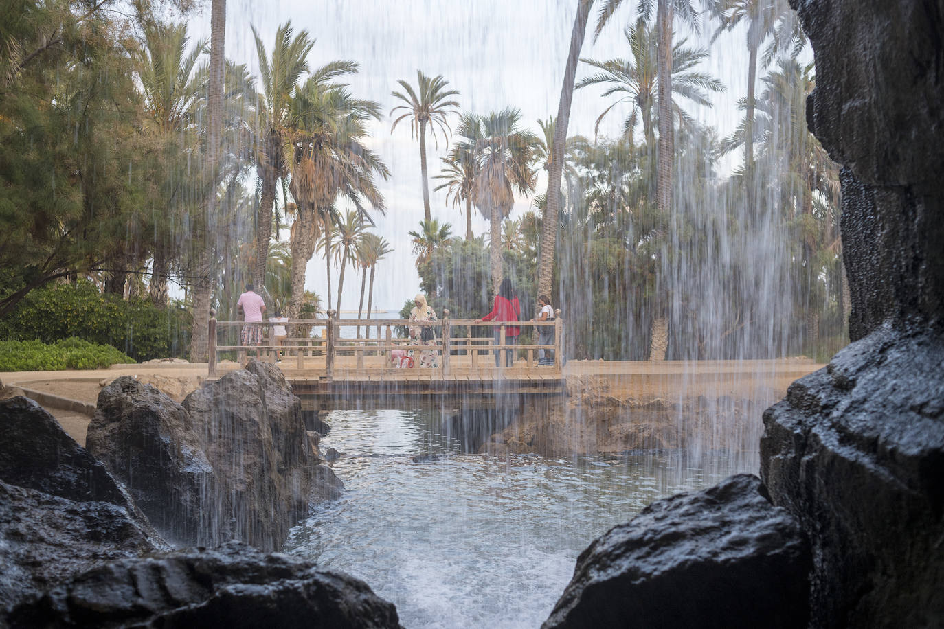 Fotos: El Palmeral, un parque natural frente al mar en Alicante