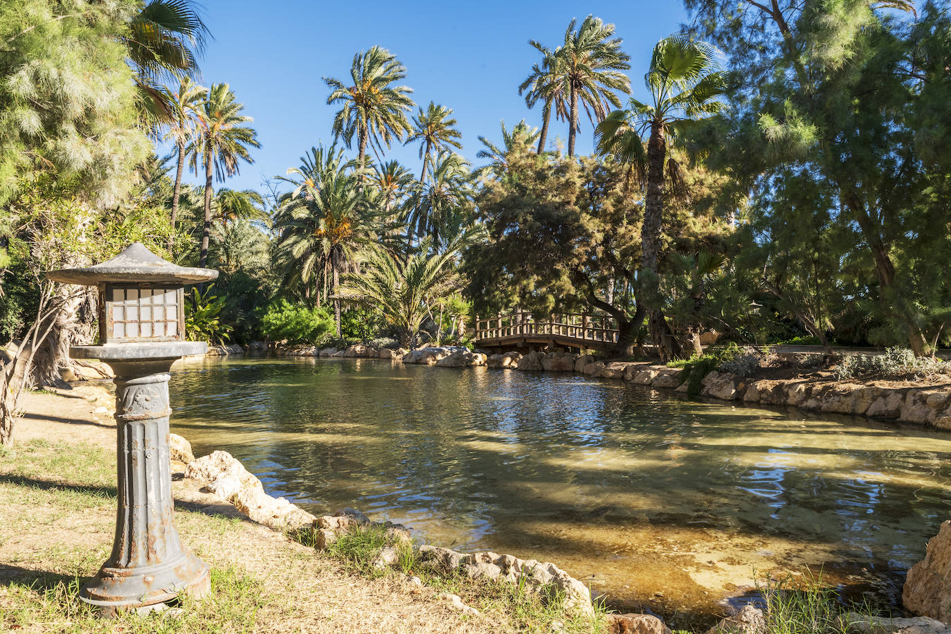 Fotos: El Palmeral, un parque natural frente al mar en Alicante