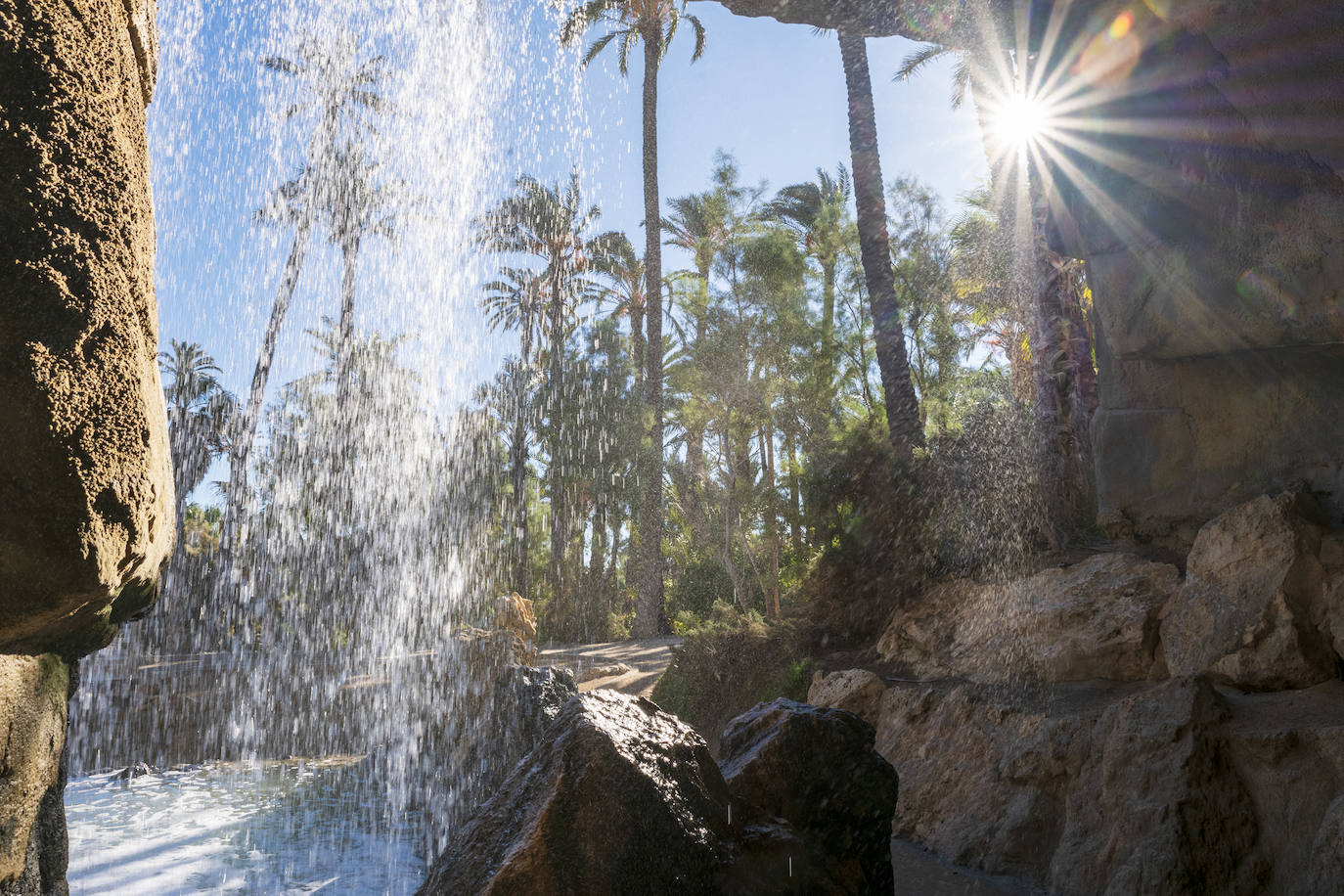 Fotos: El Palmeral, un parque natural frente al mar en Alicante