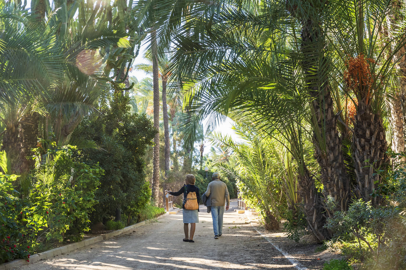 Fotos: El Palmeral, un parque natural frente al mar en Alicante