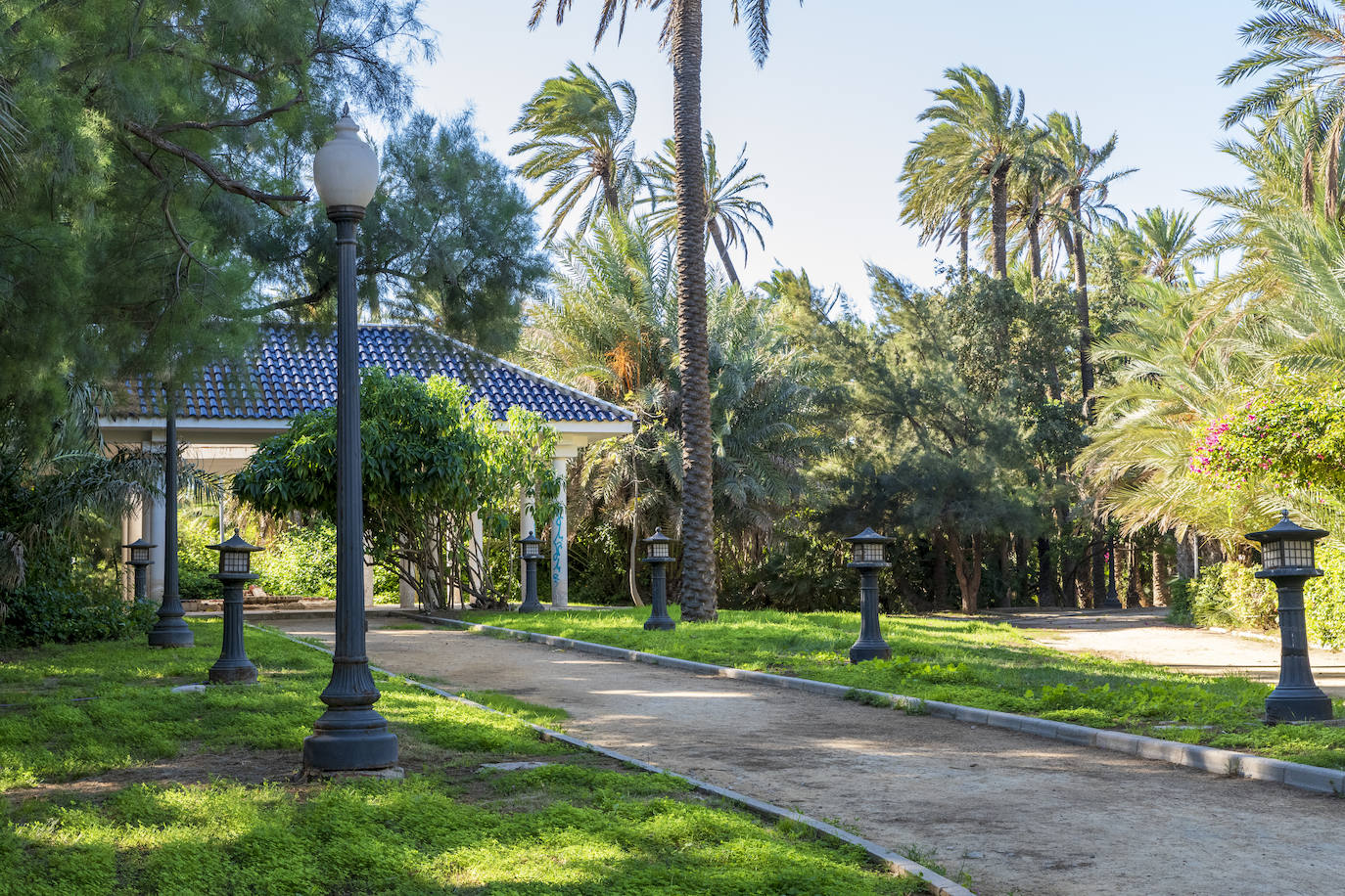 Fotos: El Palmeral, un parque natural frente al mar en Alicante