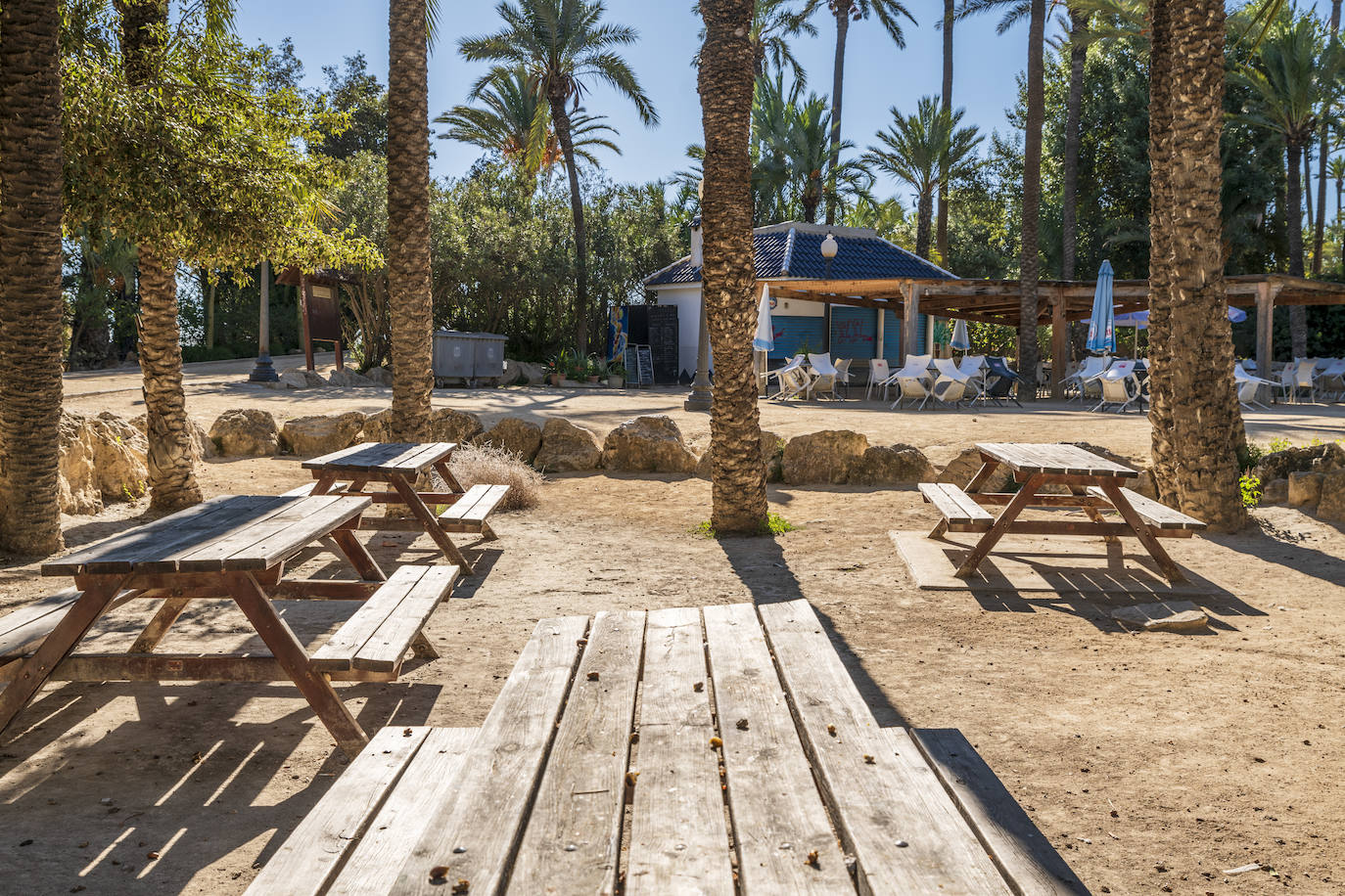 Fotos: El Palmeral, un parque natural frente al mar en Alicante