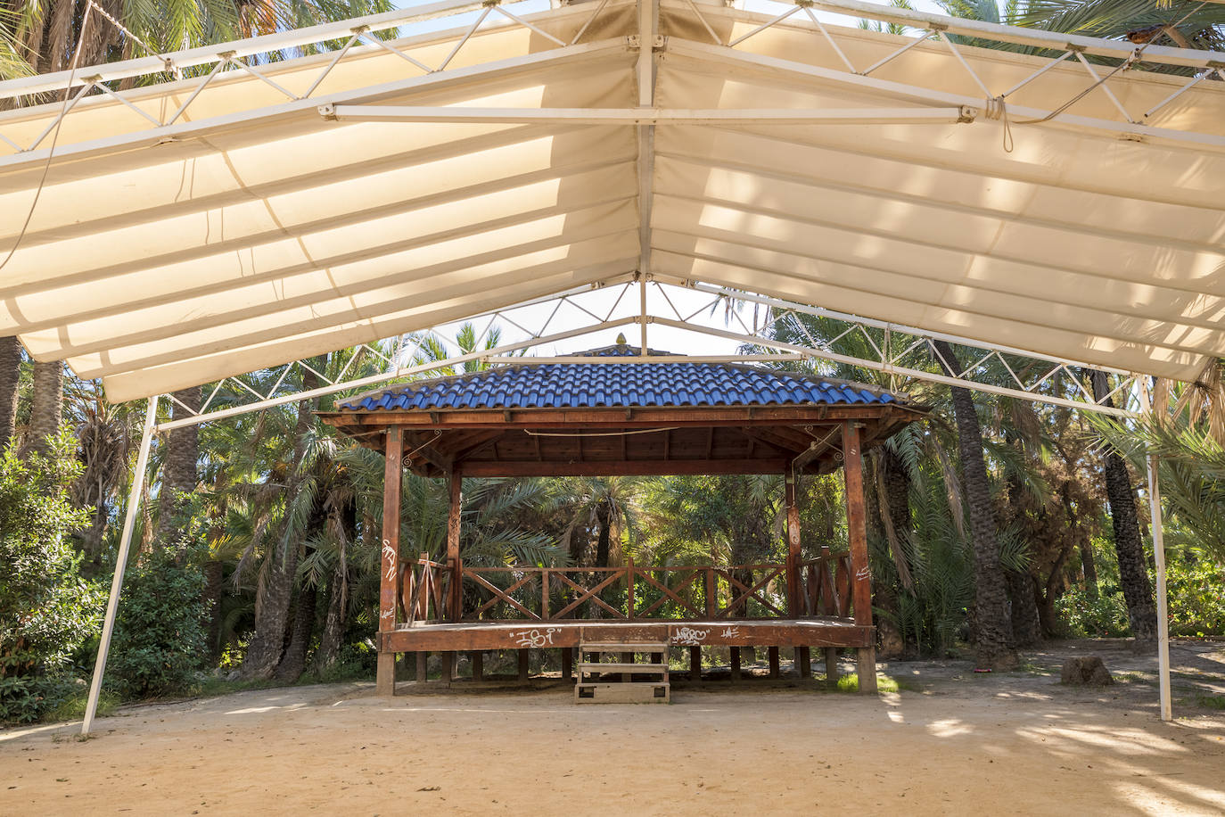 Fotos: El Palmeral, un parque natural frente al mar en Alicante