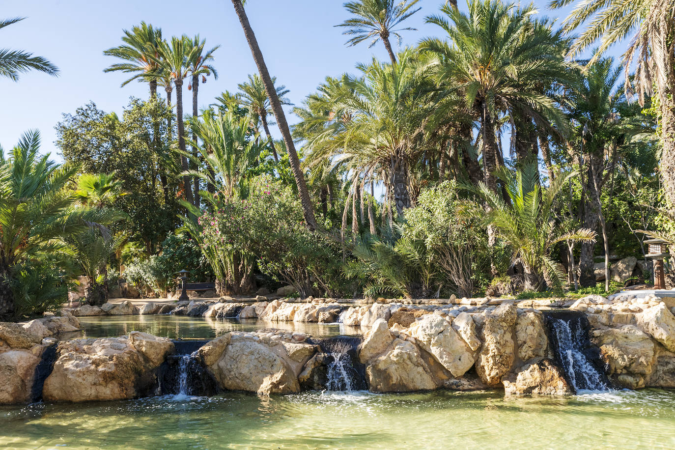 Fotos: El Palmeral, un parque natural frente al mar en Alicante