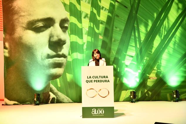 La vicepresidenta de la Diputación de Alicante, Julia Parra