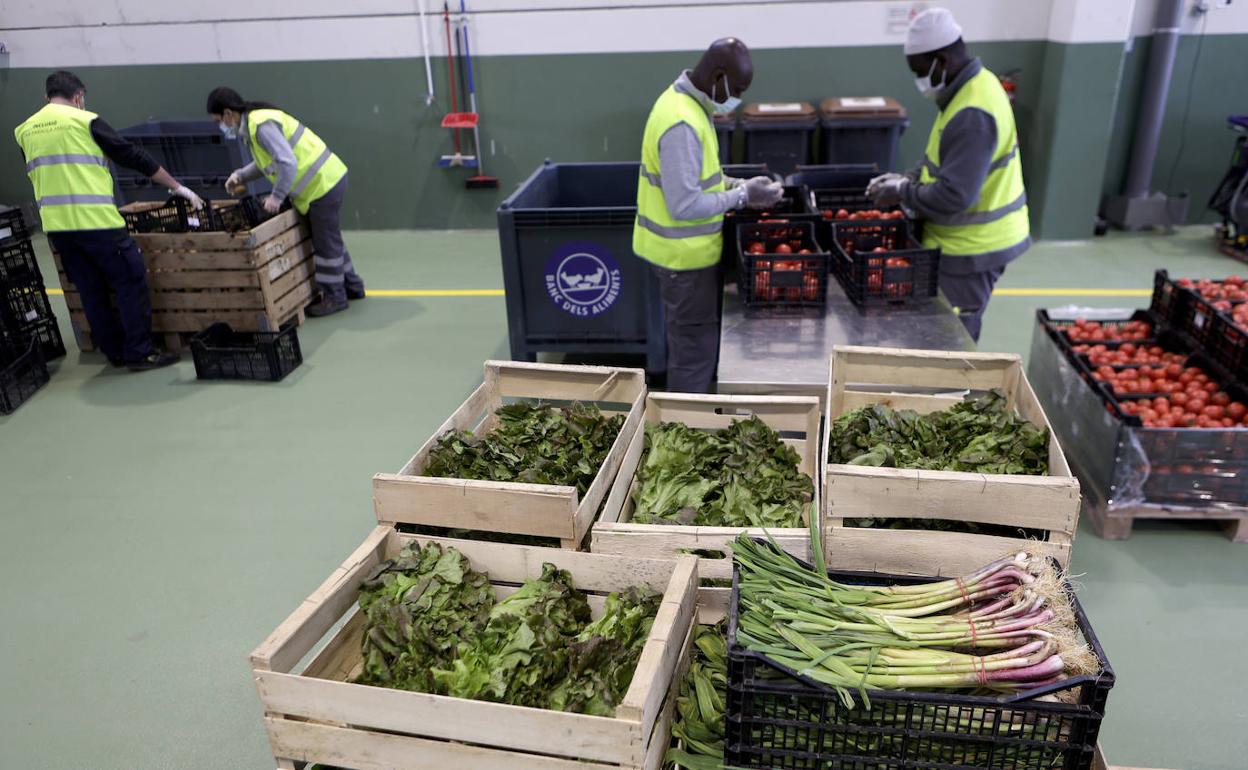 Unos trabajadores en una fábrica de comida ecológica