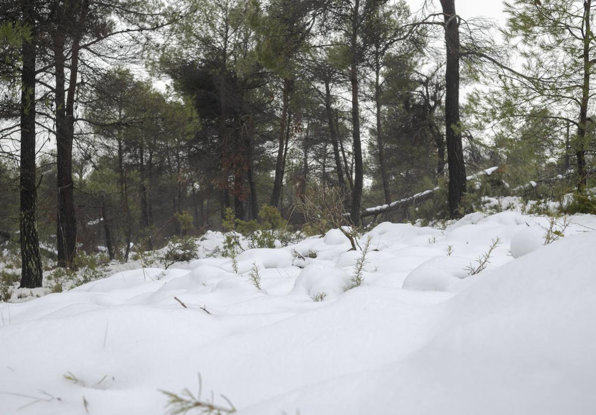 Paisaje nevado en La Carrasqueta en 2021